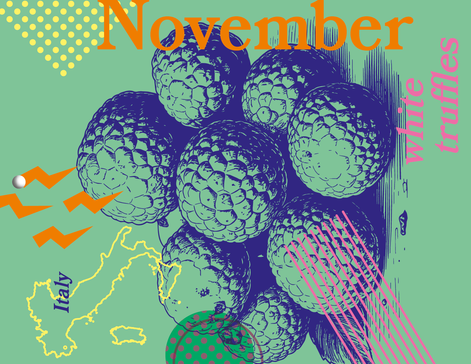 November — White Truffle, Alba, Italy
